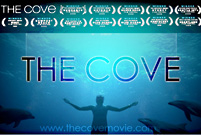 The Cove