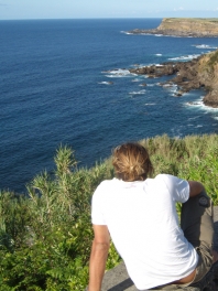 Vivid Volcanic Coastline.       source: Hilton