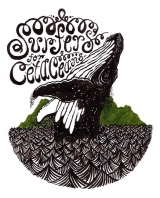 Surfers for Cetaceans