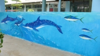 Howies Dolphins