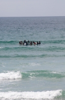 Paddle Out