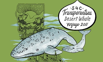 Transparent Sea