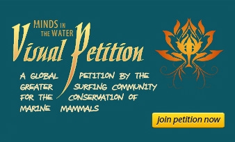 Visual Petition