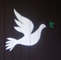 a dove on sister Joan's door -